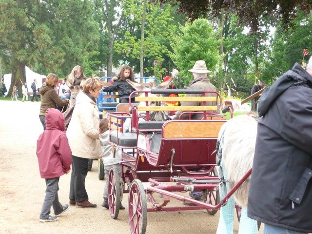 rodho 2013 (61).jpg